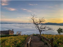 Việt Nam là điểm đến cho chuyến trăng mật giá rẻ